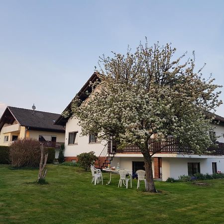 Ferienwohnung-Wald Wald  Esterno foto
