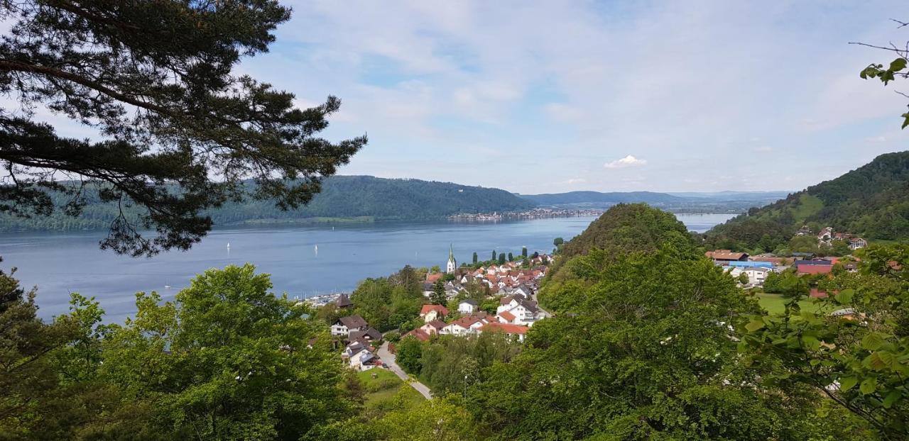 Ferienwohnung-Wald Wald  Esterno foto