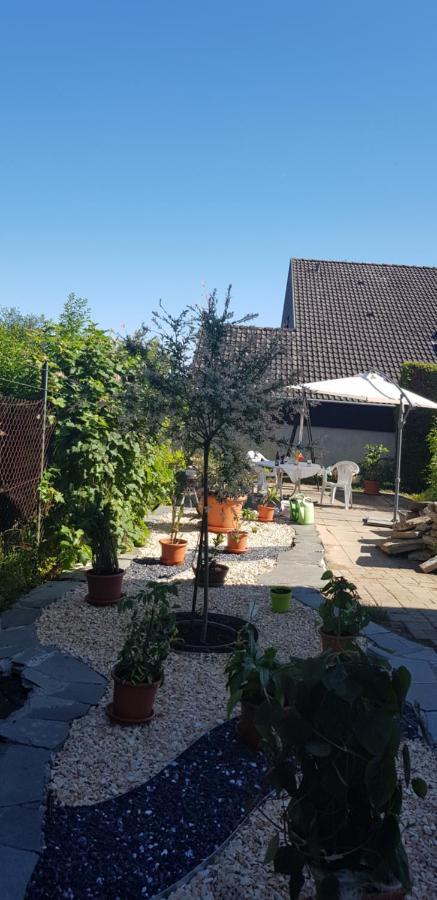 Ferienwohnung-Wald Wald  Esterno foto
