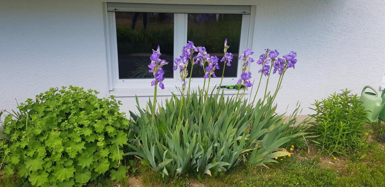 Ferienwohnung-Wald Wald  Esterno foto