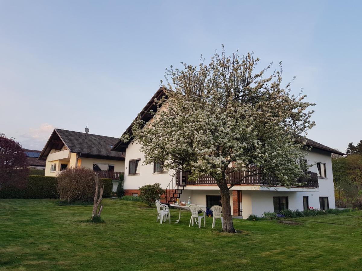 Ferienwohnung-Wald Wald  Esterno foto